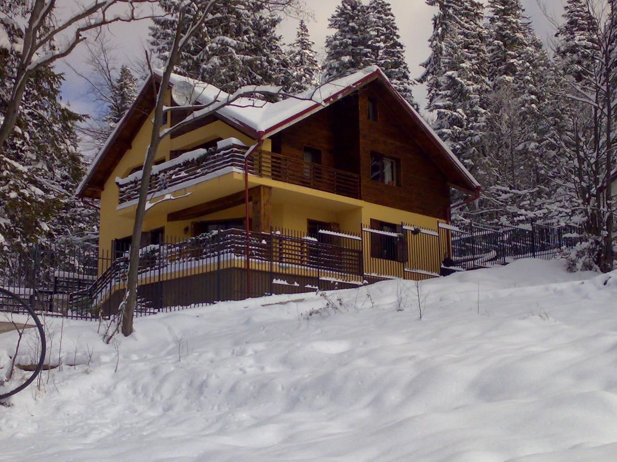 Виллы Vila Bearpeak Предял