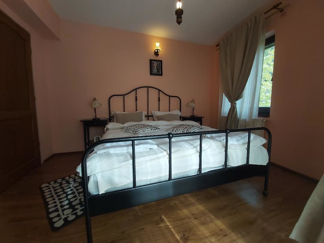 Виллы Vila Bearpeak Предял-25