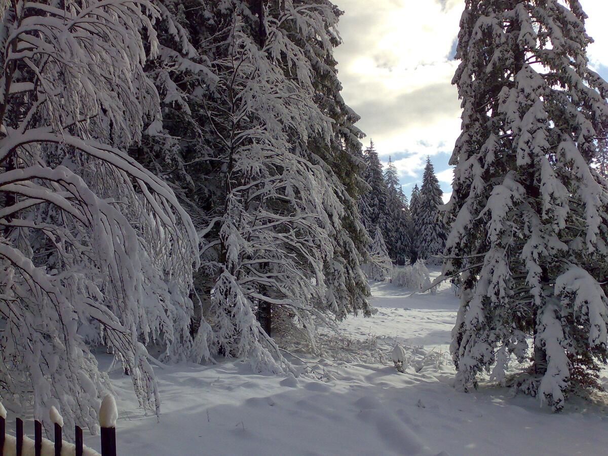 Виллы Vila Bearpeak Предял-27