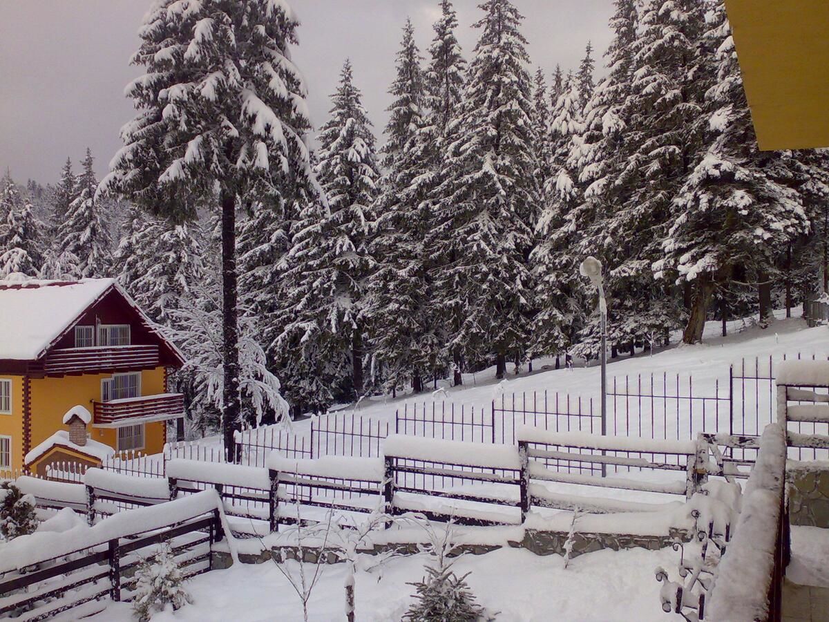 Виллы Vila Bearpeak Предял-29