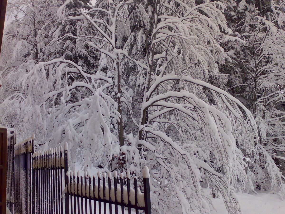 Виллы Vila Bearpeak Предял-30