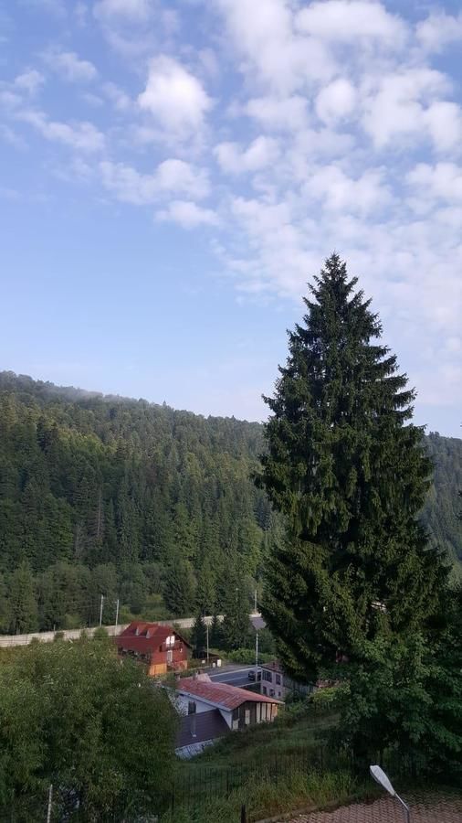 Виллы Vila Bearpeak Предял