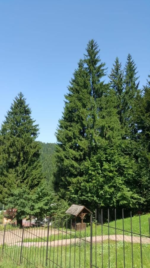 Виллы Vila Bearpeak Предял