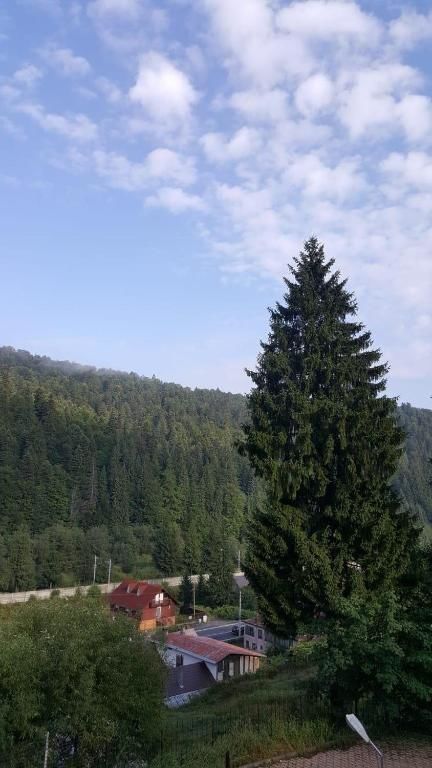 Виллы Vila Bearpeak Предял