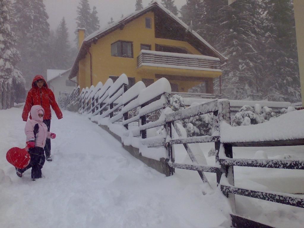 Виллы Vila Bearpeak Предял