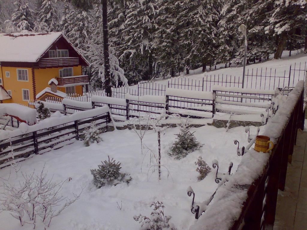 Виллы Vila Bearpeak Предял