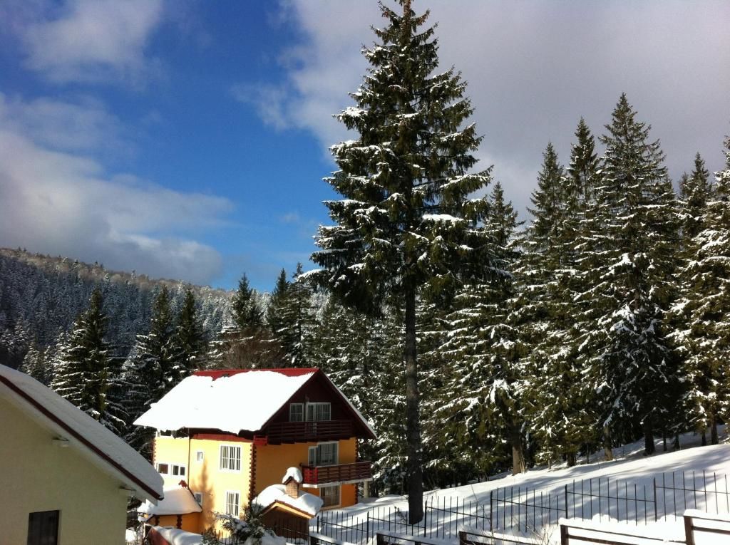 Виллы Vila Bearpeak Предял