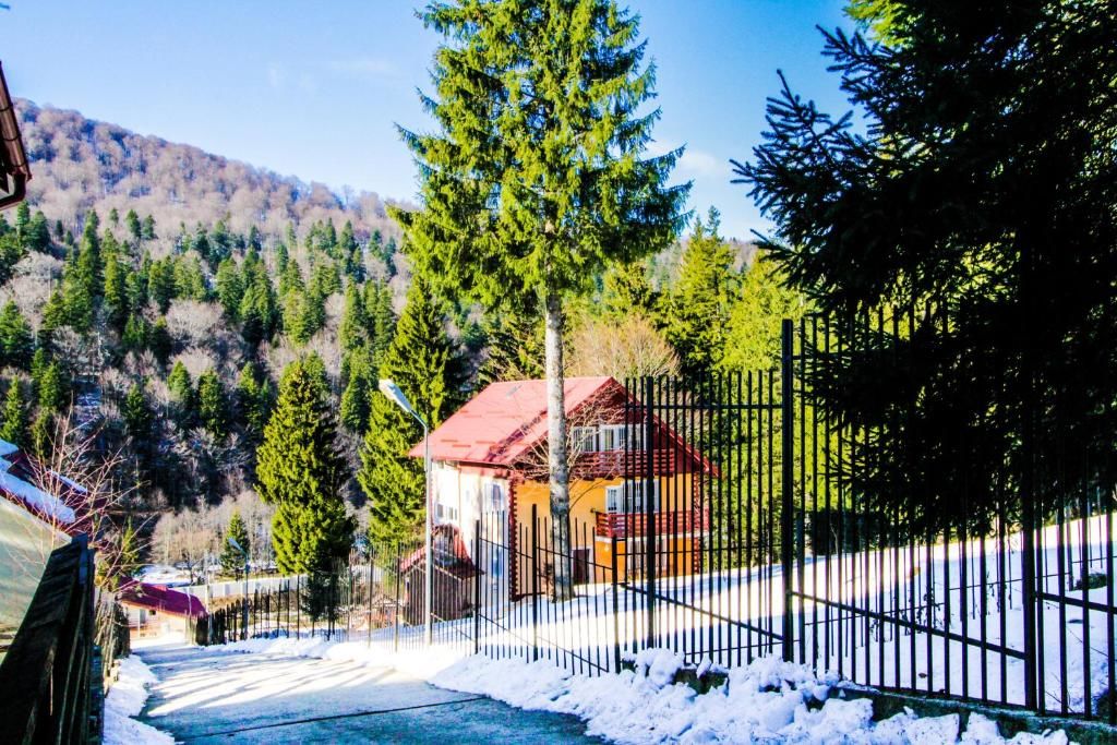 Виллы Vila Bearpeak Предял