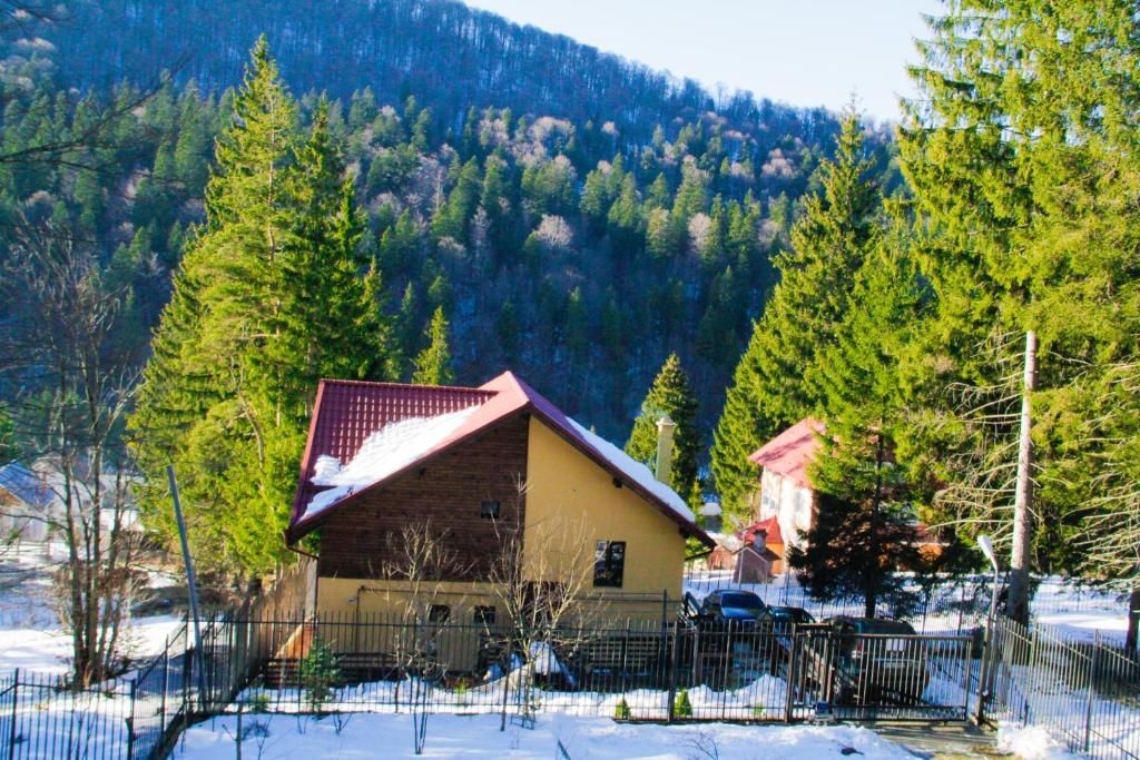Виллы Vila Bearpeak Предял