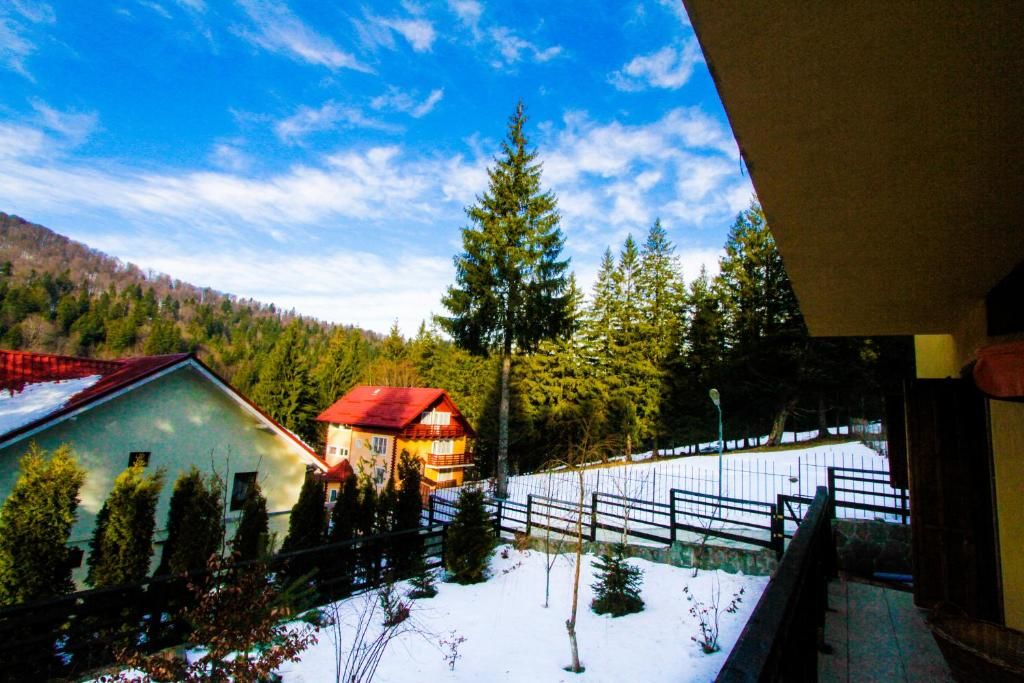 Виллы Vila Bearpeak Предял