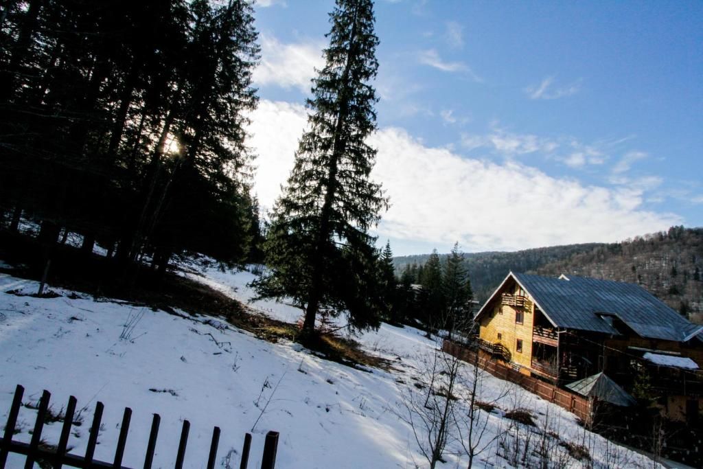 Виллы Vila Bearpeak Предял