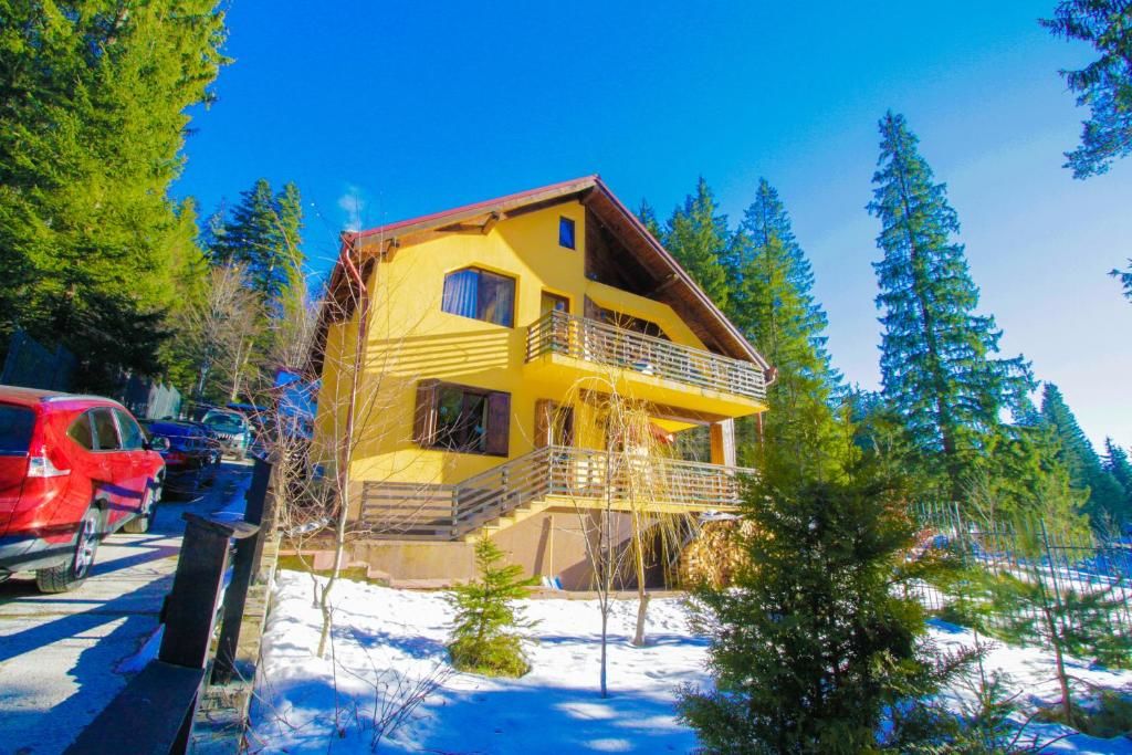 Виллы Vila Bearpeak Предял