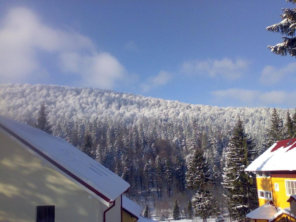 Виллы Vila Bearpeak Предял