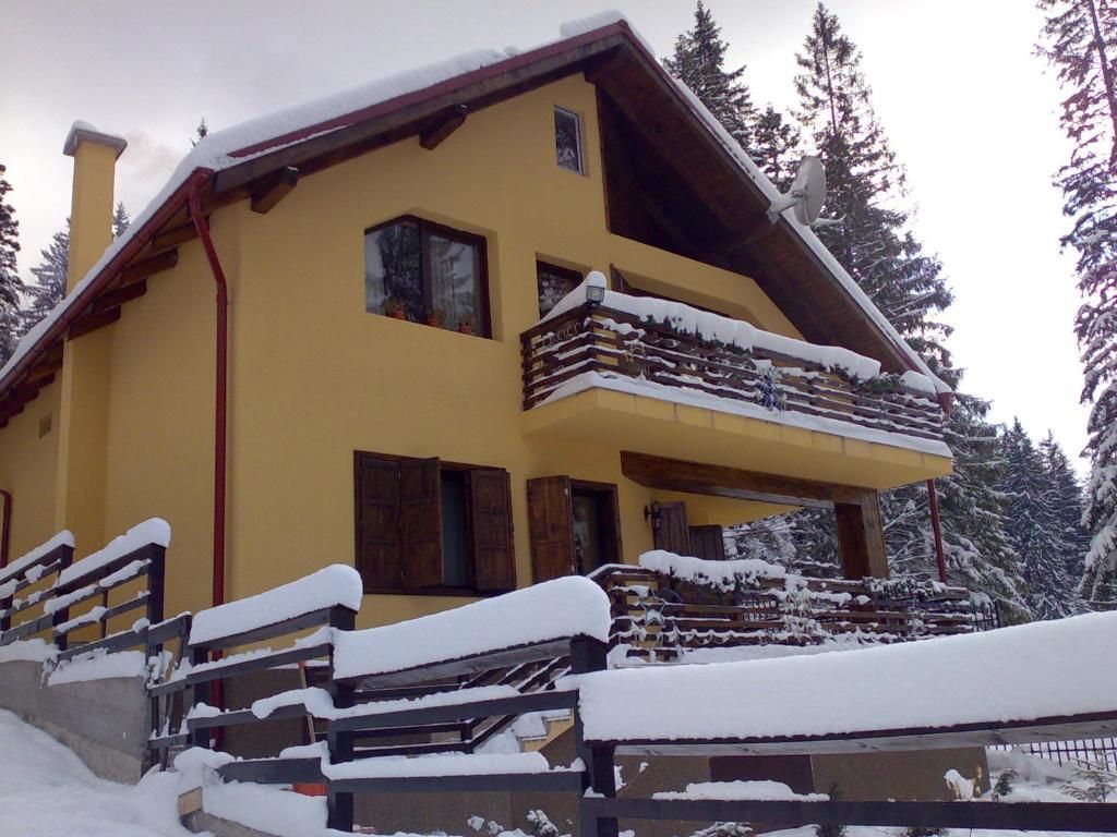 Виллы Vila Bearpeak Предял