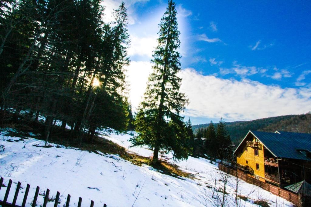 Виллы Vila Bearpeak Предял